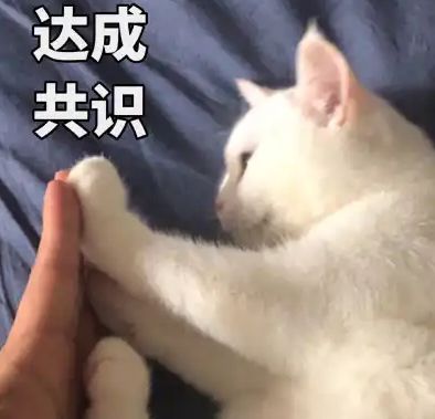 霸王花女星暴打顶流换脸女星的瓜