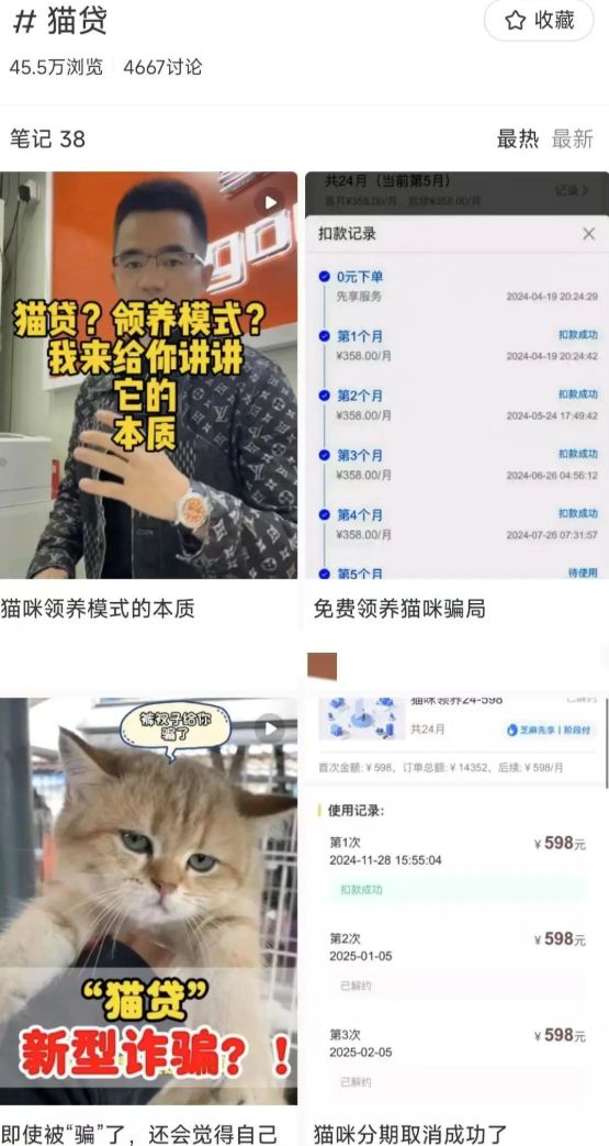 上海女子傻眼！商场里的免费领养，实际要花2万元？卖家称很划算，网友吵翻→