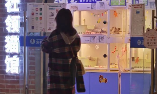 上海女子傻眼！商场里的免费领养，实际要花2万元？卖家称很划算，网友吵翻→