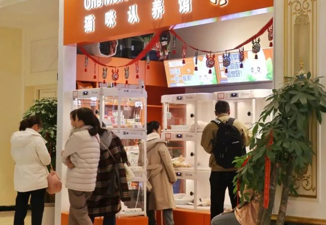 上海女子傻眼！商场里的免费领养，实际要花2万元？卖家称很划算，网友吵翻→