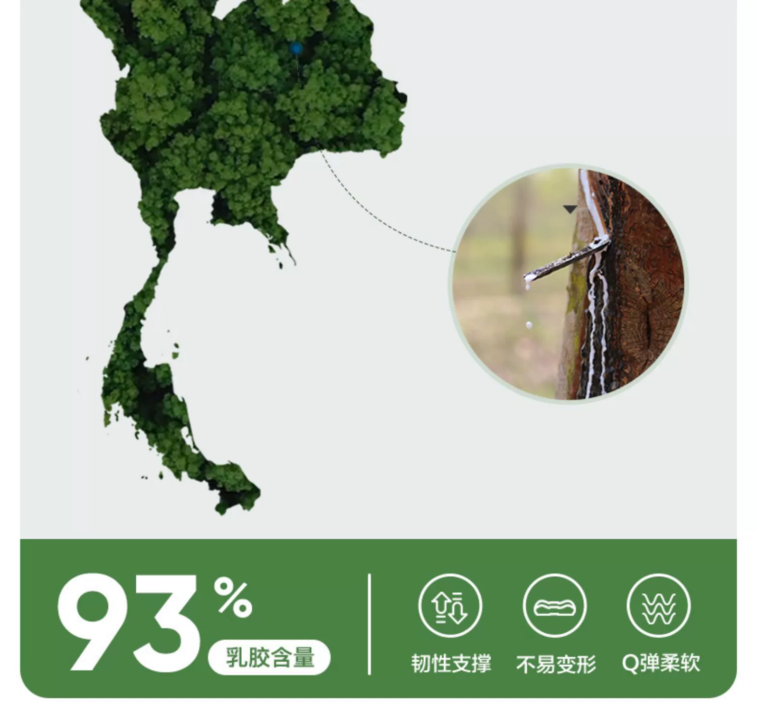 政府补贴 15%：网易严选 93% 乳胶枕 67 元起（日常 159 元）