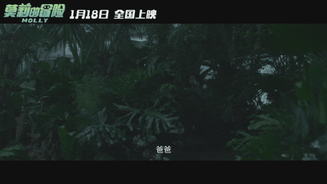 Bilibili：新澳门资料免费-哪个女孩不是一株静待花开的植物呢？