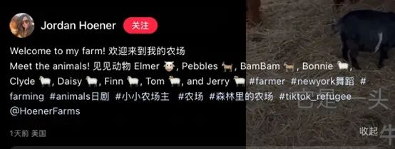 经济参考报：蓝月亮料精选资料王中王-为什么机械翻译总是不够准确