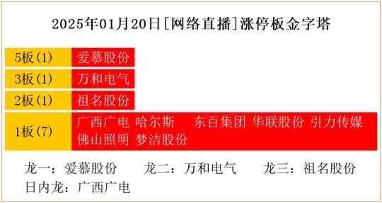 北青网：2024澳门免费精准资料74期-2025年01月20日[网络直播]涨停板金字塔  第1张