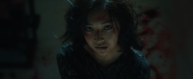 皮皮虾：管家婆精准资料免费公开-赵今麦这「漂白」是非演不可吗？