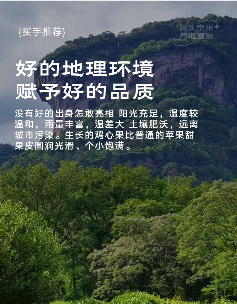 美篇：49澳门彩资料大全-车厘子涨价吃吃草莓：京东单果 20g + 红颜大草莓 15.8 元 / 斤百亿补贴
