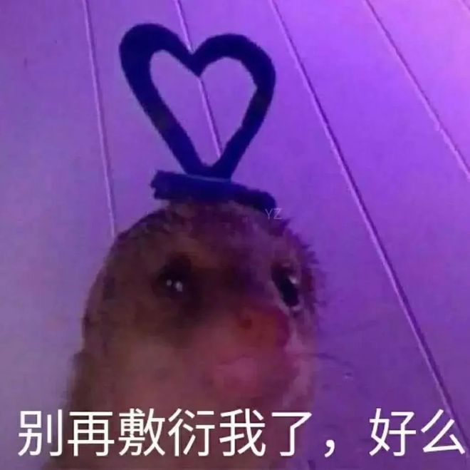 搜狐号：9:41 4G 58 六叔会员群(500) 晚上7:21 六叔猛料澳门精选特肖:马-狗 特码:10-2-曼联预计给加纳乔标5000万镑；切尔西筹资；拉维亚伤缺数周