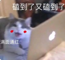 B站UP主：管家婆2024资料精准大全174期资料-太配了吧这俩！