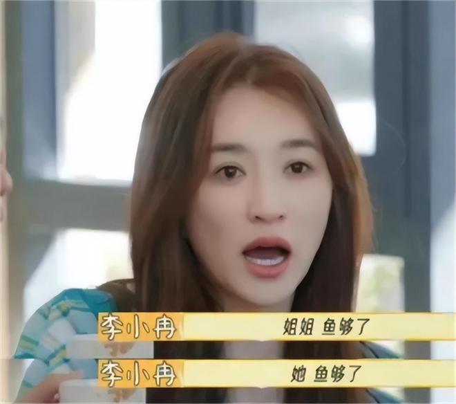 映客直播：新奥门资料大全正版资料2024年免费下载-被李小冉狂骂十分钟不还嘴，刘晓庆真面目暴露，陈佩斯的话应验了