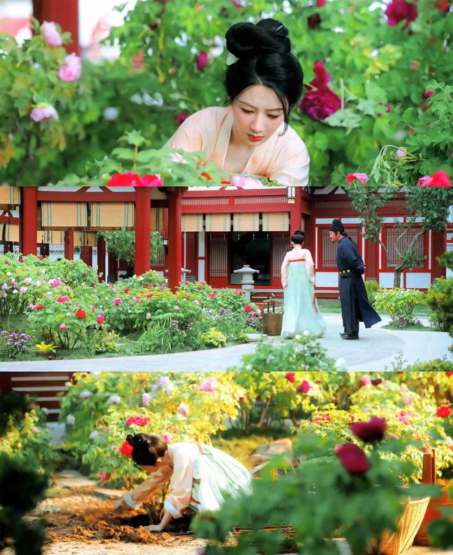 央视新闻：2024澳门正版彩民之家-性张力拉满！这5部成人剧集，建议收藏