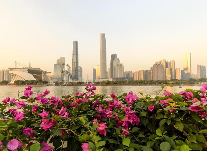 抖音达人：2024香港精准资料-小结巴4：加代带走黎子，张军没面子了